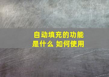 自动填充的功能是什么 如何使用